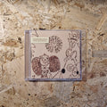 Devendra Banhart – Rejoicing In The Hands