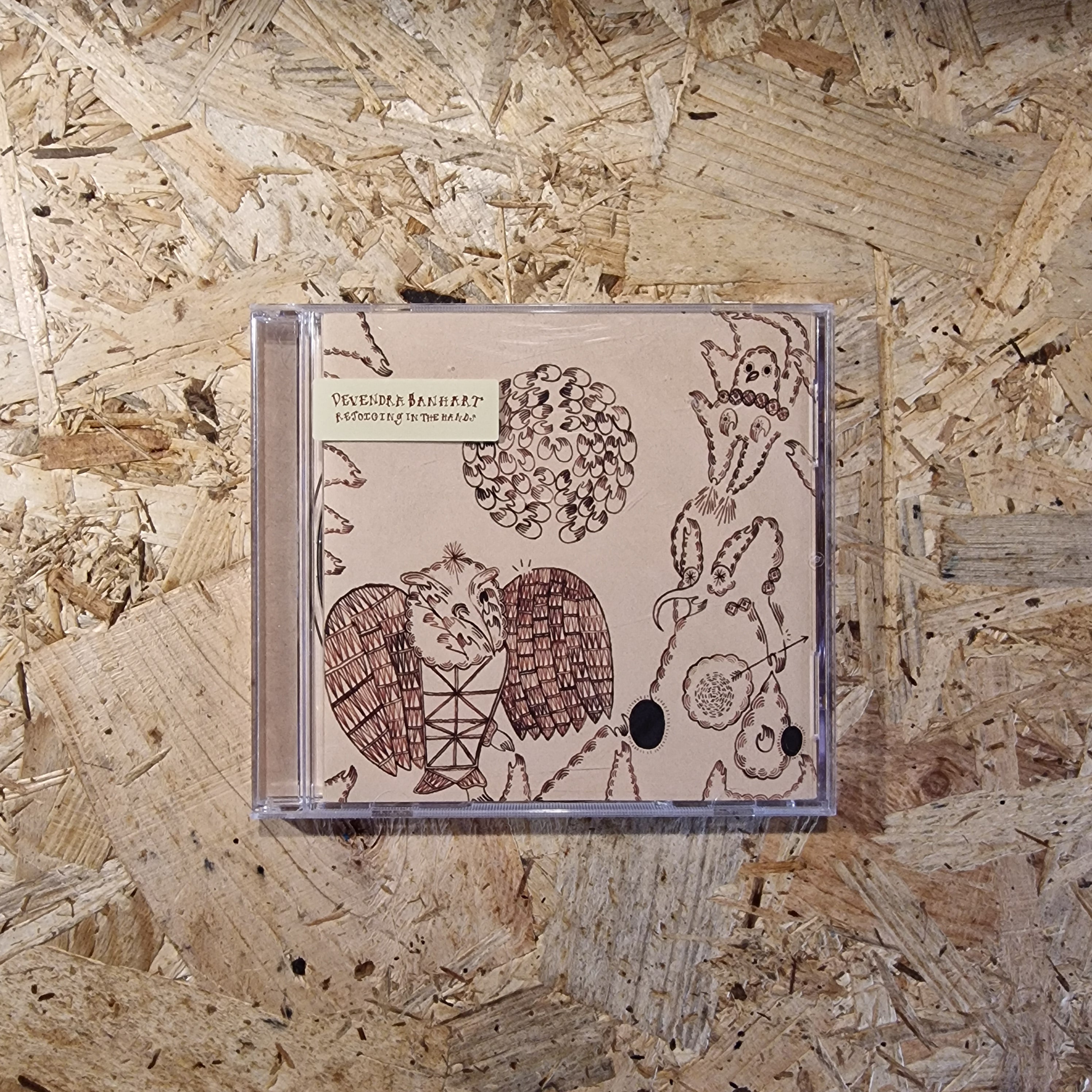 Devendra Banhart – Rejoicing In The Hands