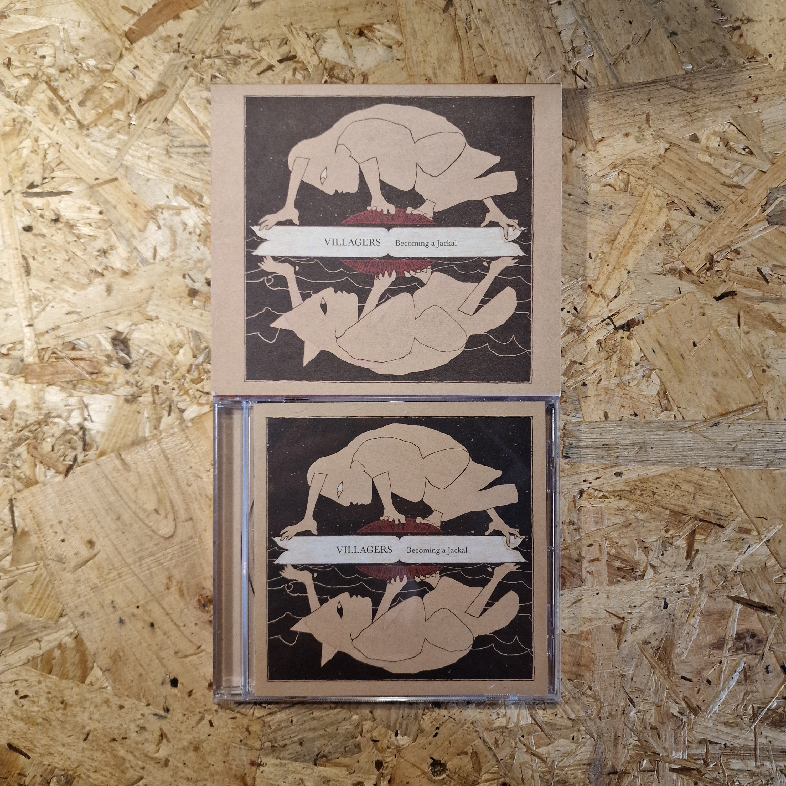 Villagers – Becoming A Jackal