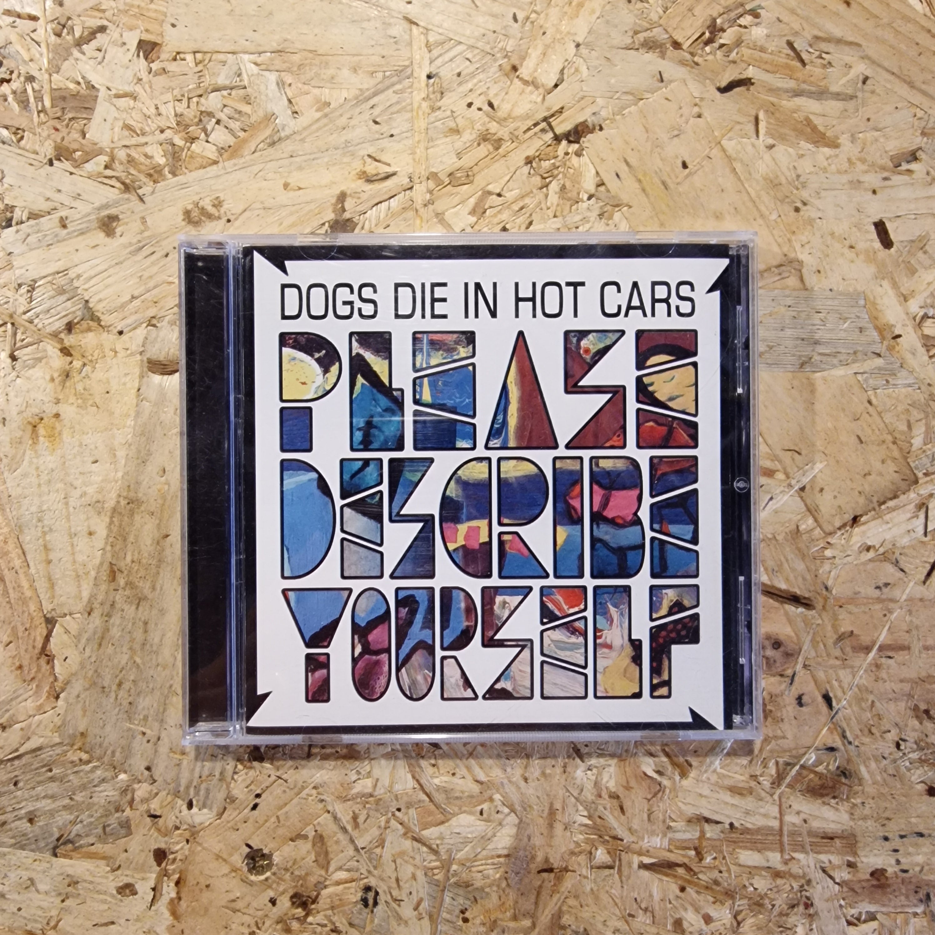 Dogs Die In Hot Cars – Please Describe Yourself