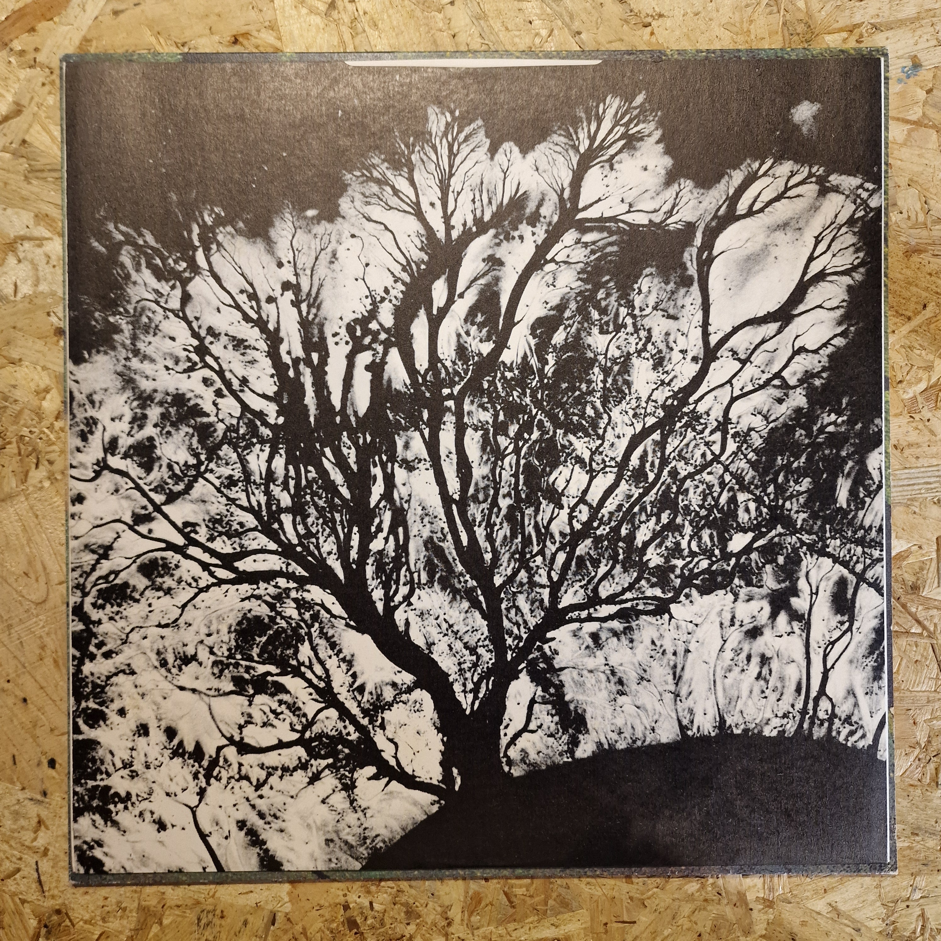 Dead Can Dance – The Serpent's Egg