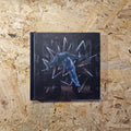 Pink Floyd – Pulse