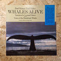 Paul Winter / Paul Halley – Whales Alive