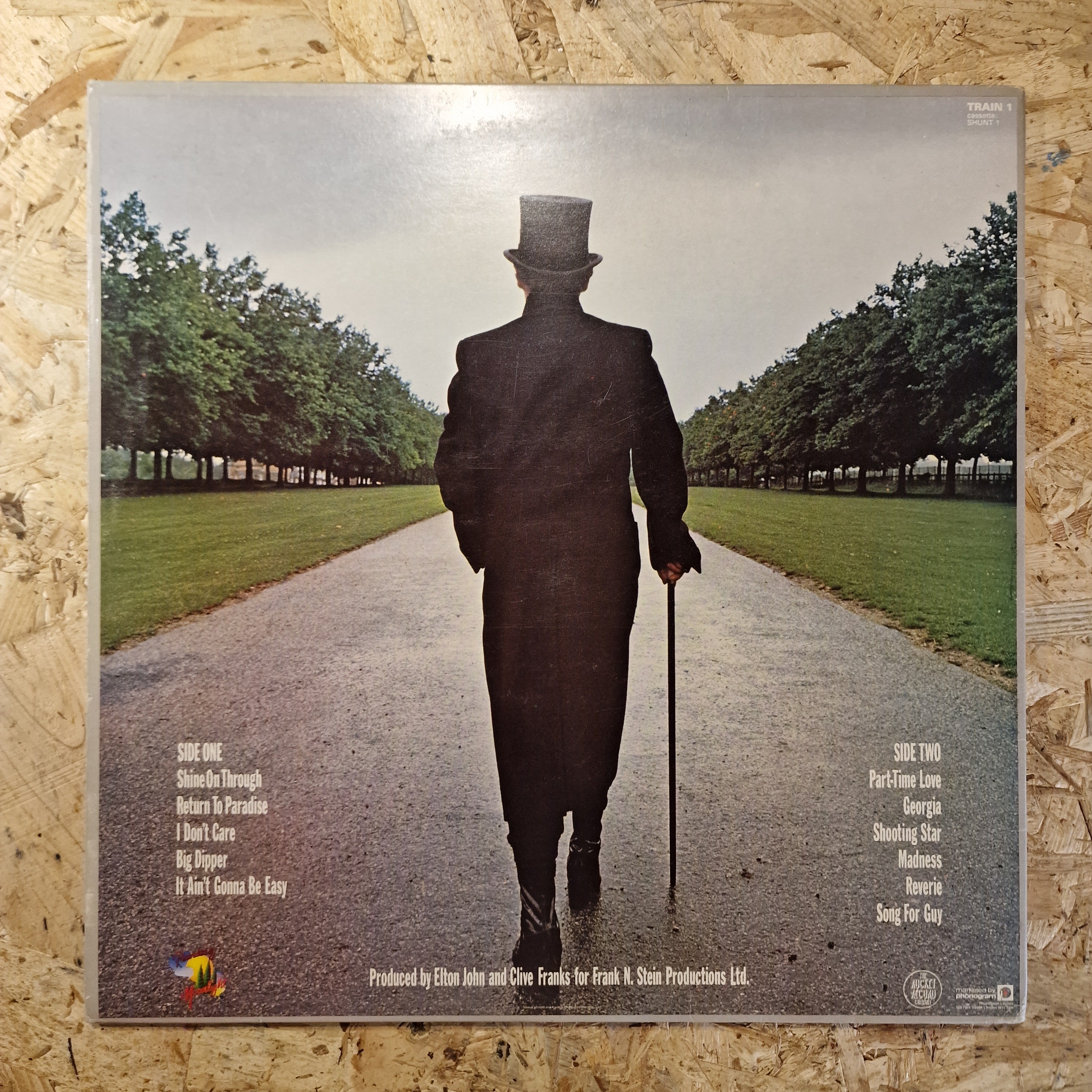 Elton John A Single Man Vinyl LP | 1978 Album Featuring Song For