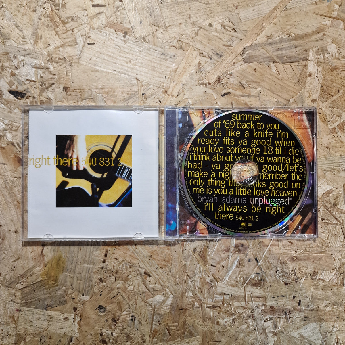 Bryan Adams – Unplugged