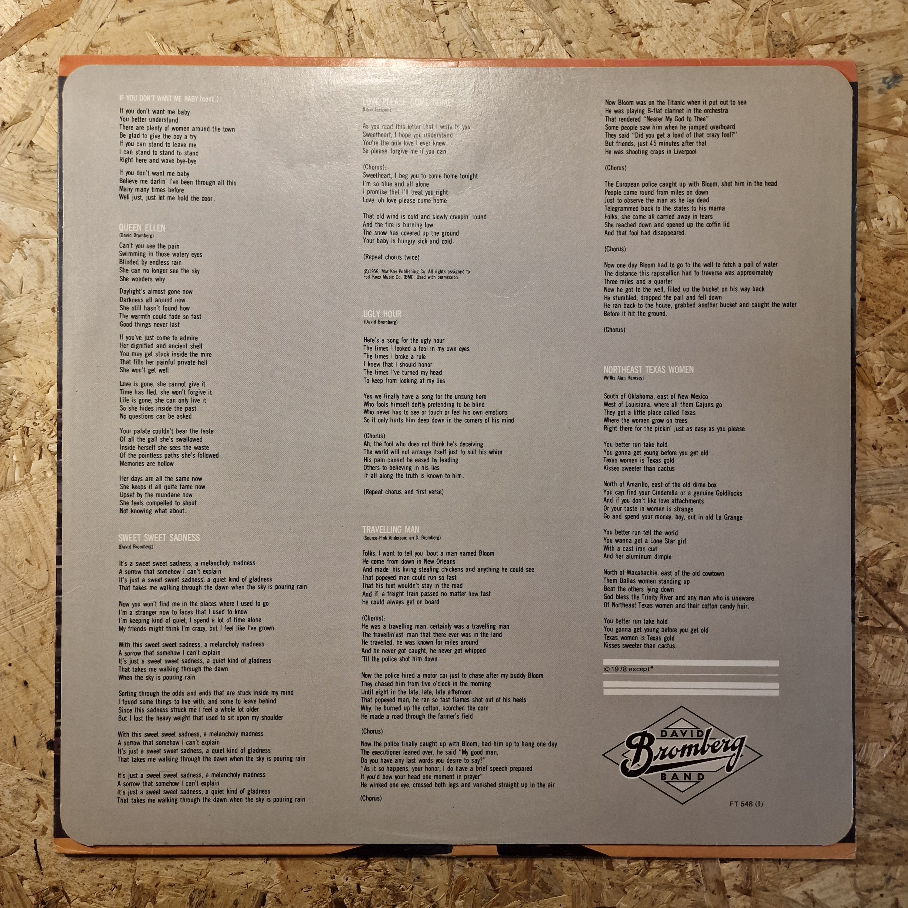 David Bromberg Band – Bandit In A Bathing Suit