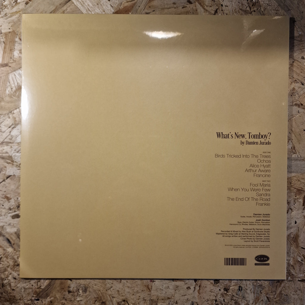 Damien Jurado – What's New, Tomboy?
