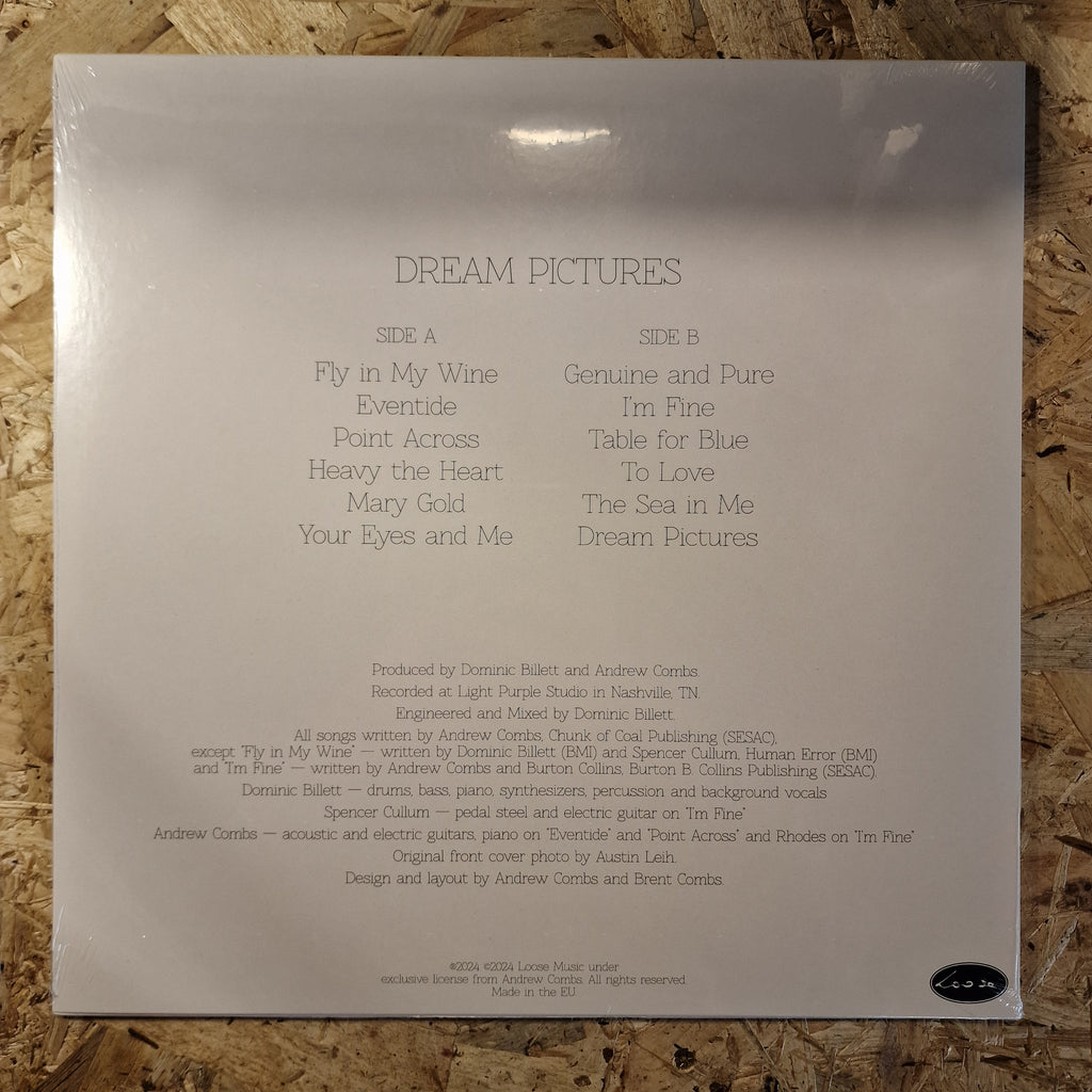 Andrew Combs – Dream Pictures
