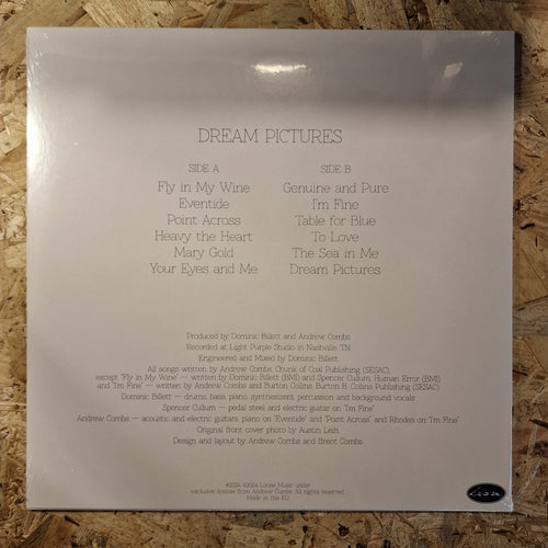 Andrew Combs – Dream Pictures