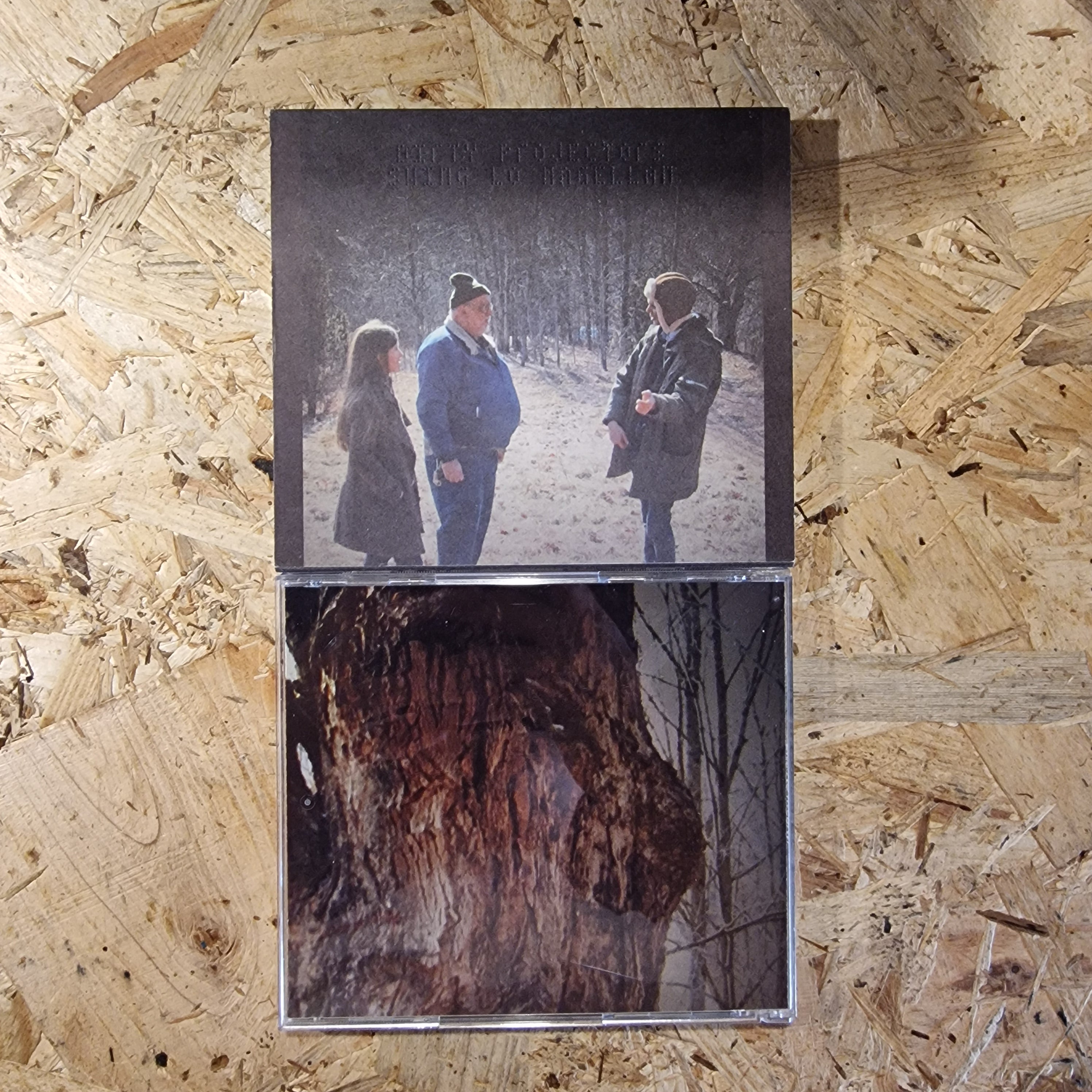 Dirty Projectors – Swing Lo Magellan