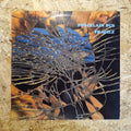 Porcelain Bus – Fragile
