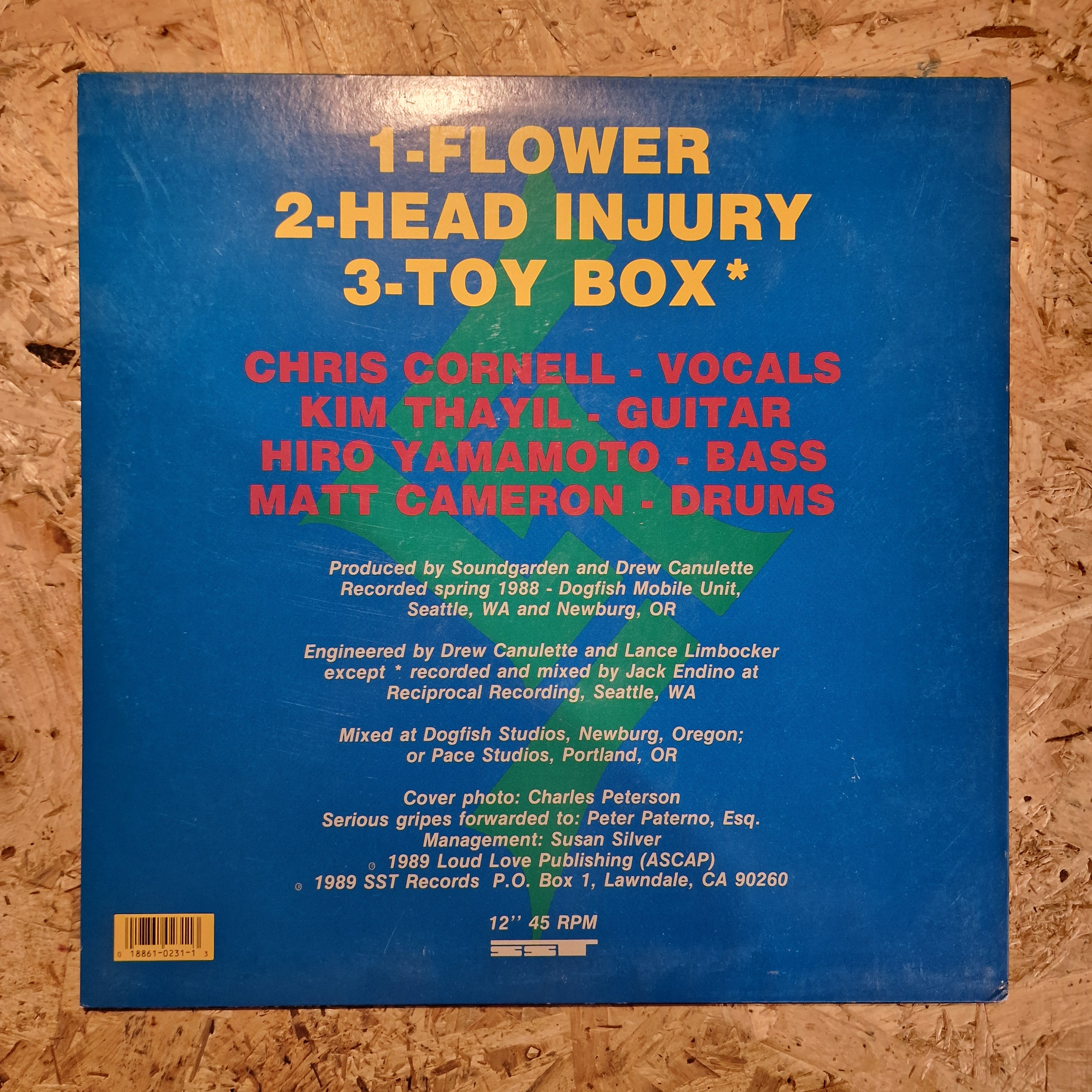 Soundgarden – Flower