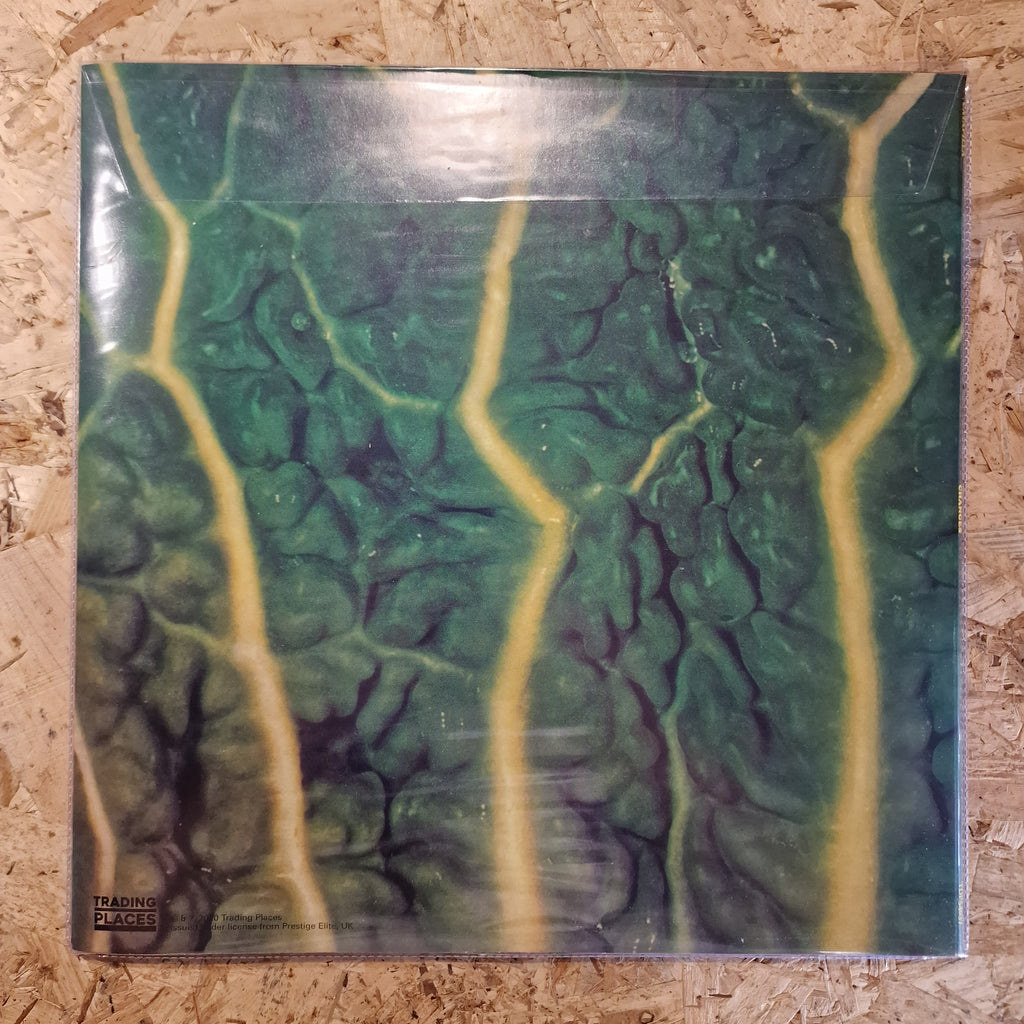 Catapilla – Changes