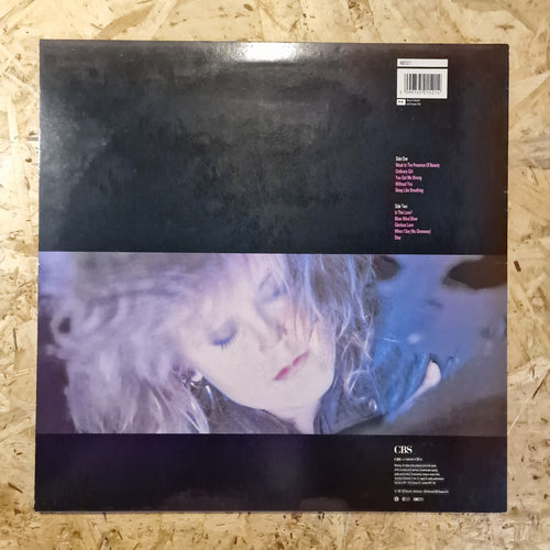 Alison Moyet – Raindancing UK Reissue