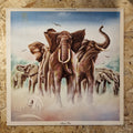 Elvis Costello And The Attractions – Armed Forces