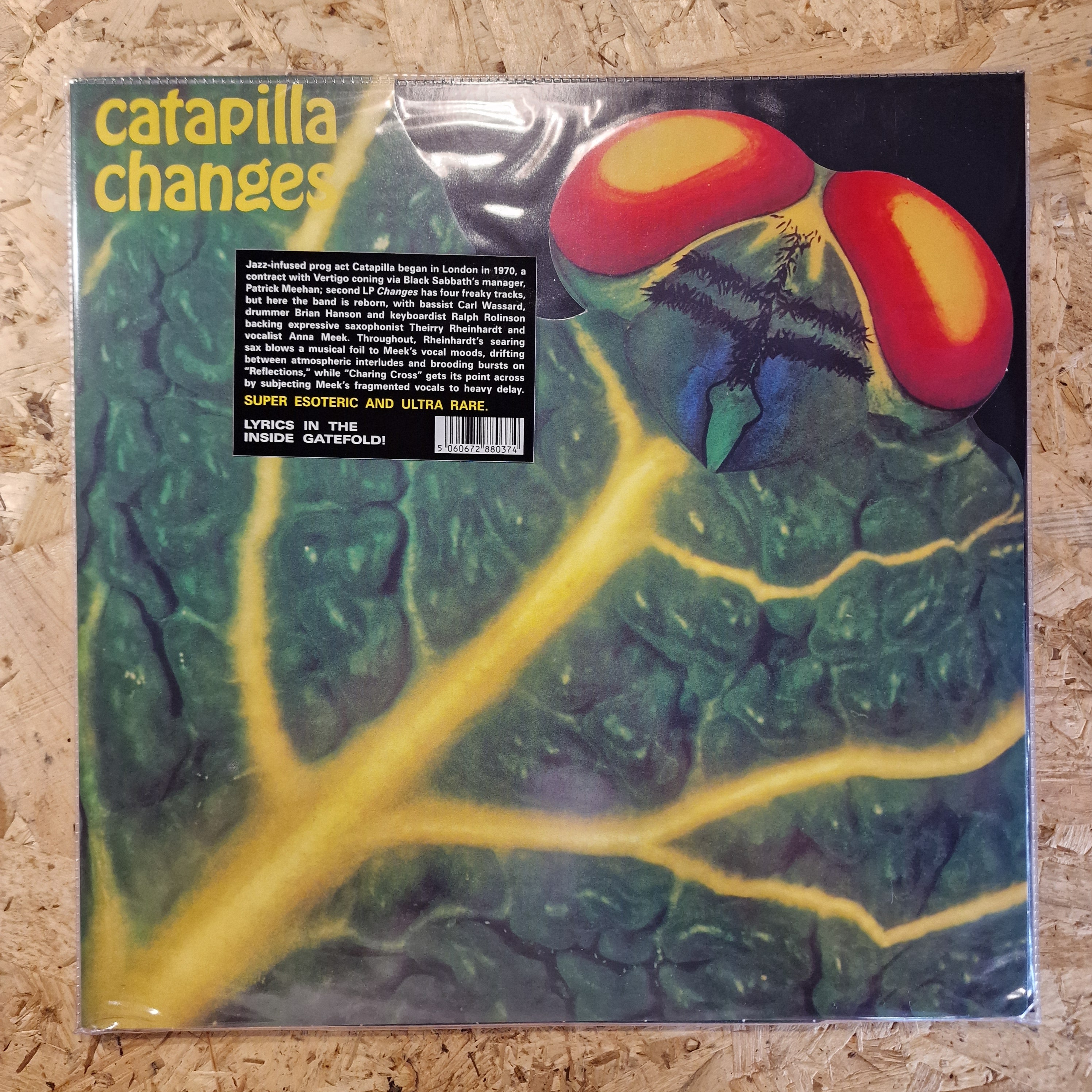 Catapilla – Changes