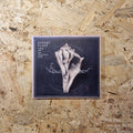 Robert Plant And The Sensational Space Shifters – Lullaby And... The Ceaseless Roar