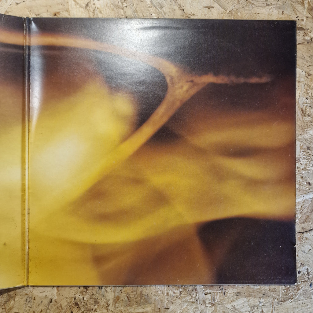 Wishbone Ash ‎– Wishbone Ash