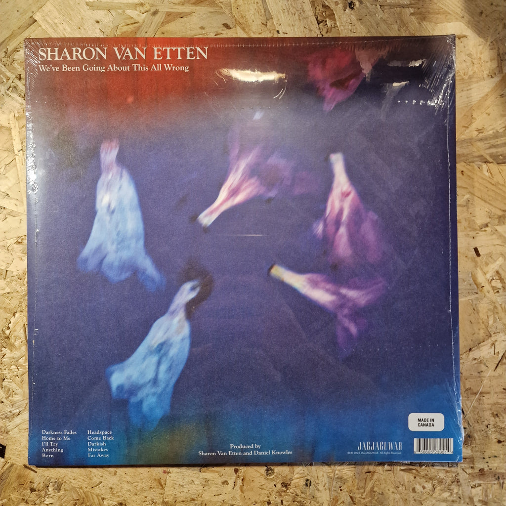 Sharon Van Etten – We've Been Going About This All Wrong