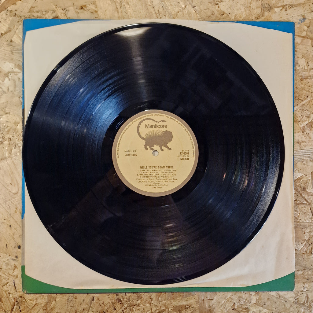 Stray Dog – While You're Down There