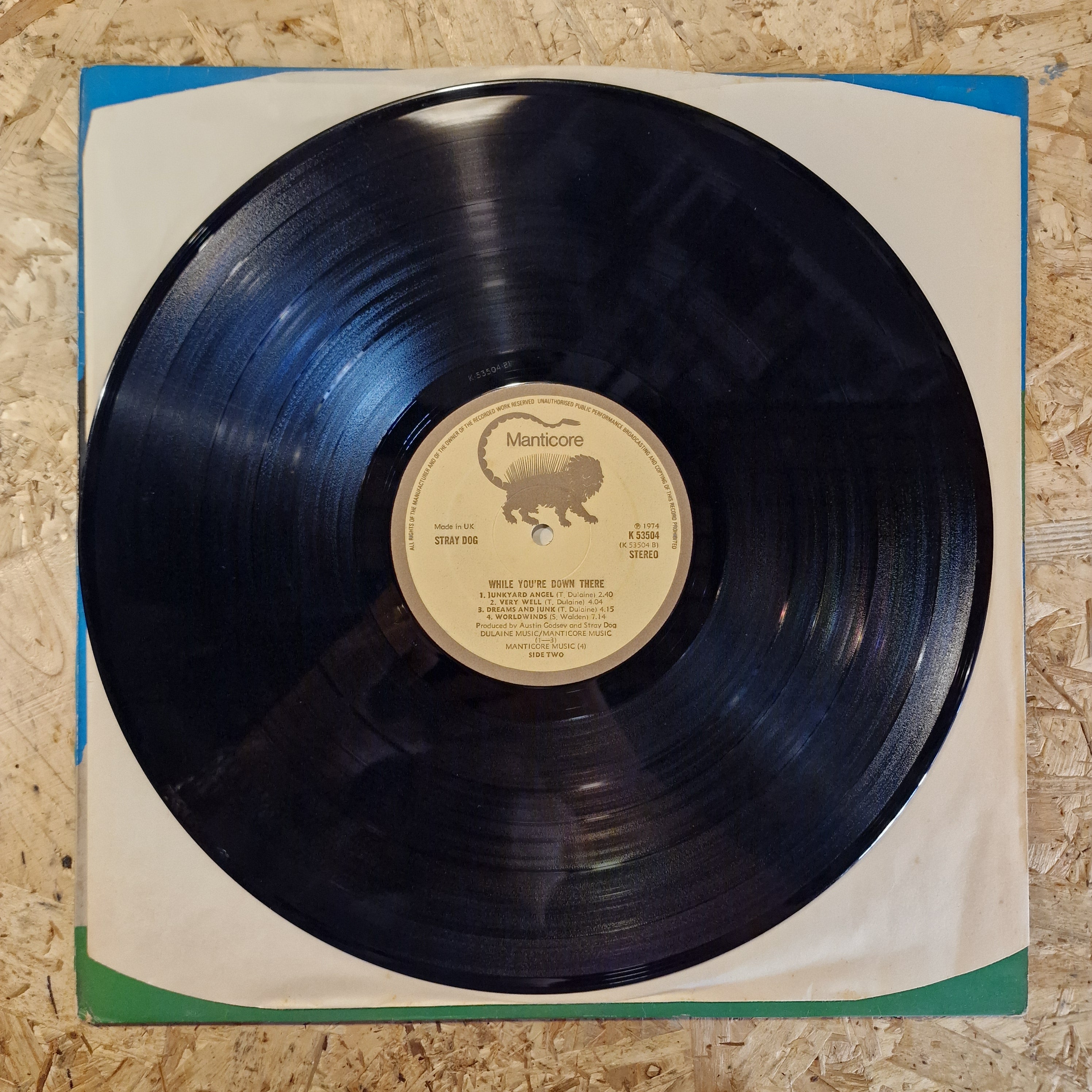 Stray Dog – While You're Down There