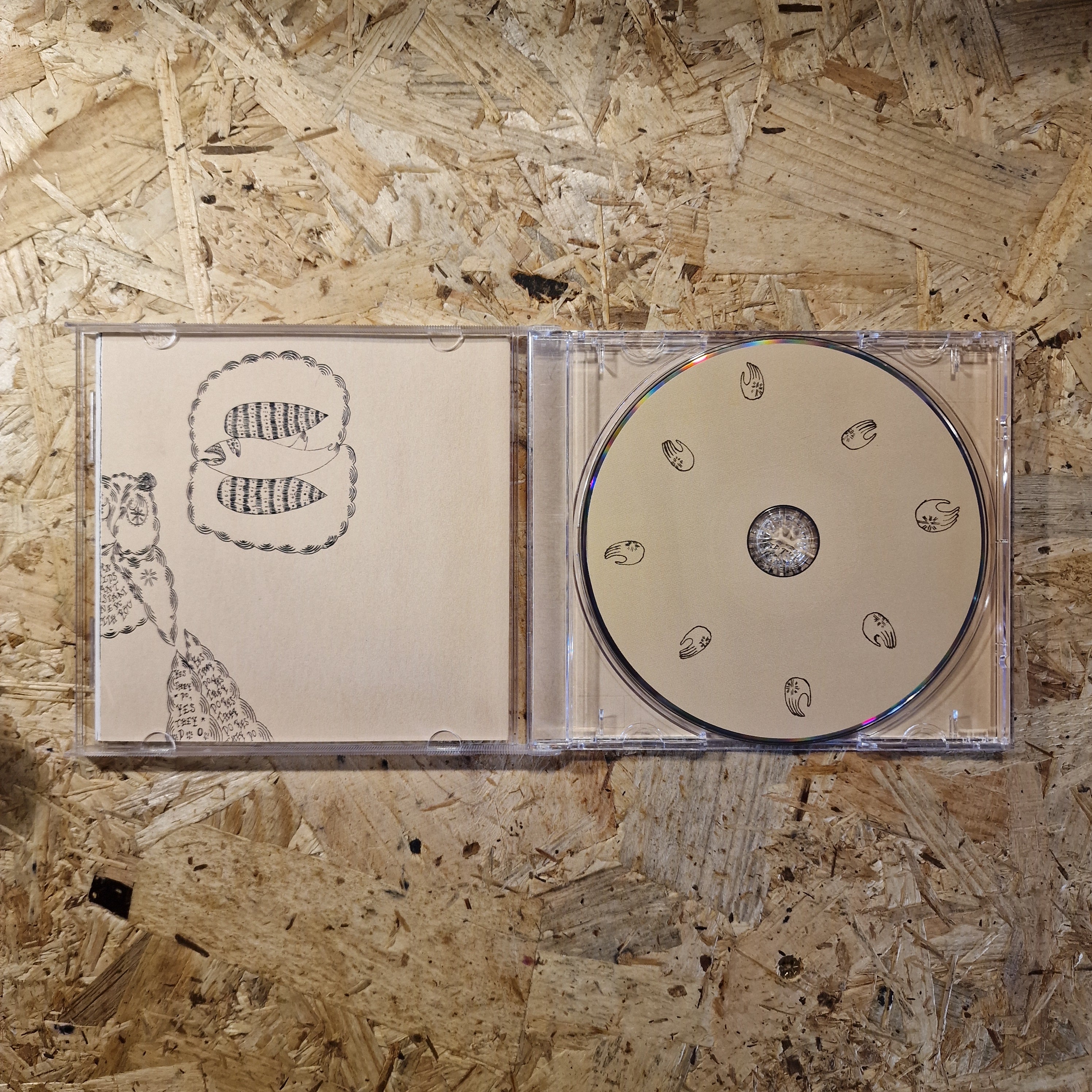 Devendra Banhart – Rejoicing In The Hands