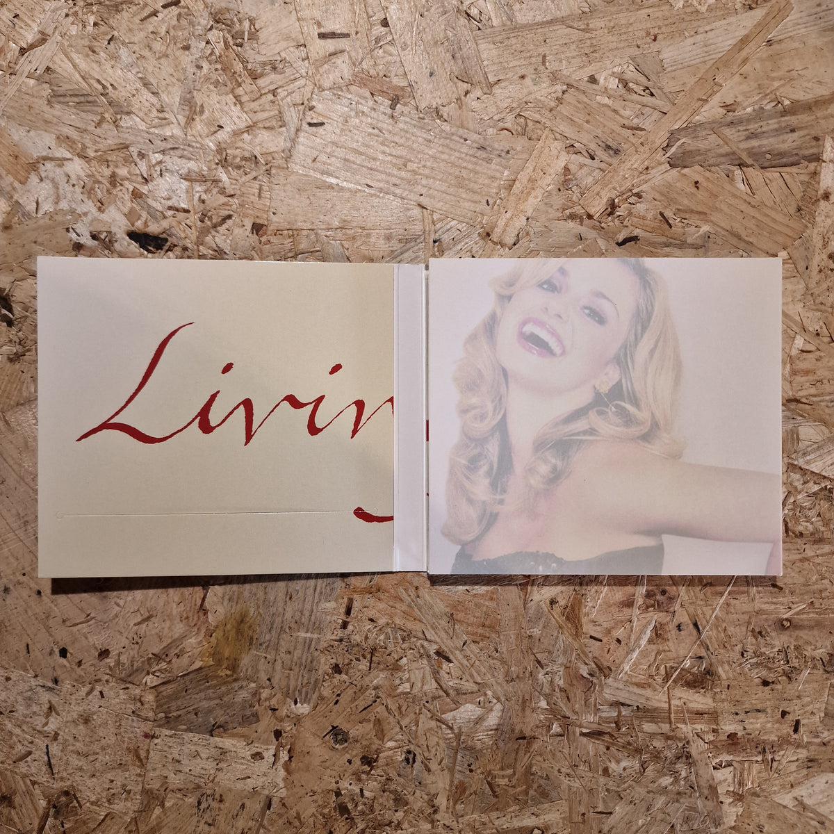 Katherine Jenkins – Living A Dream