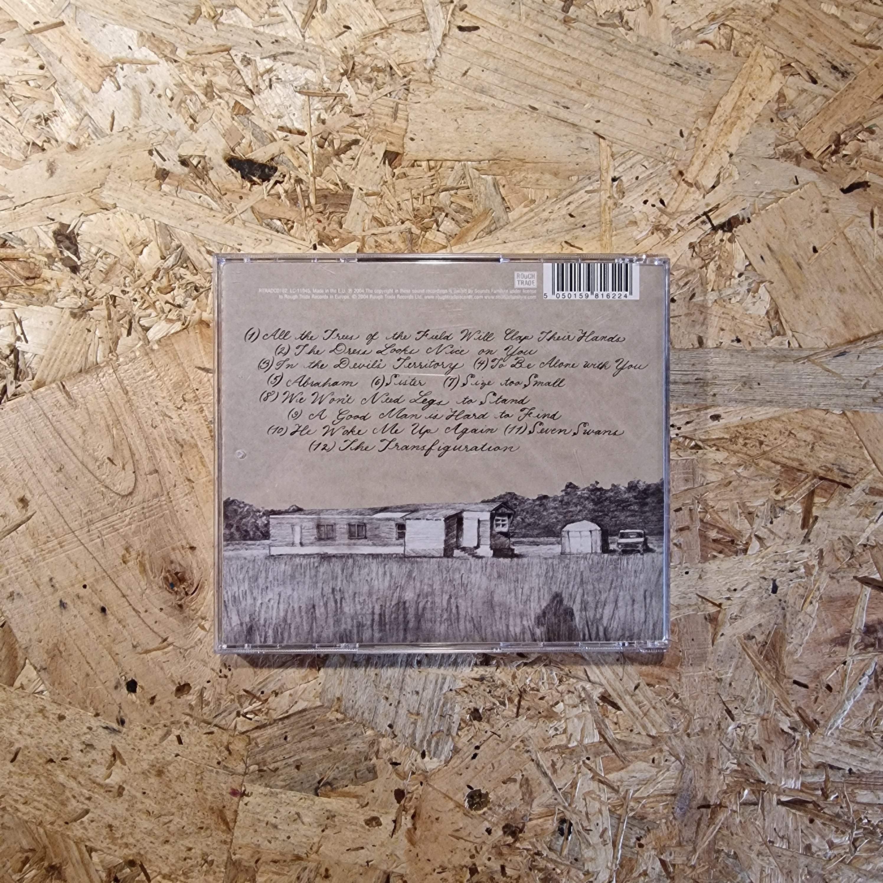 Sufjan Stevens – Seven Swans