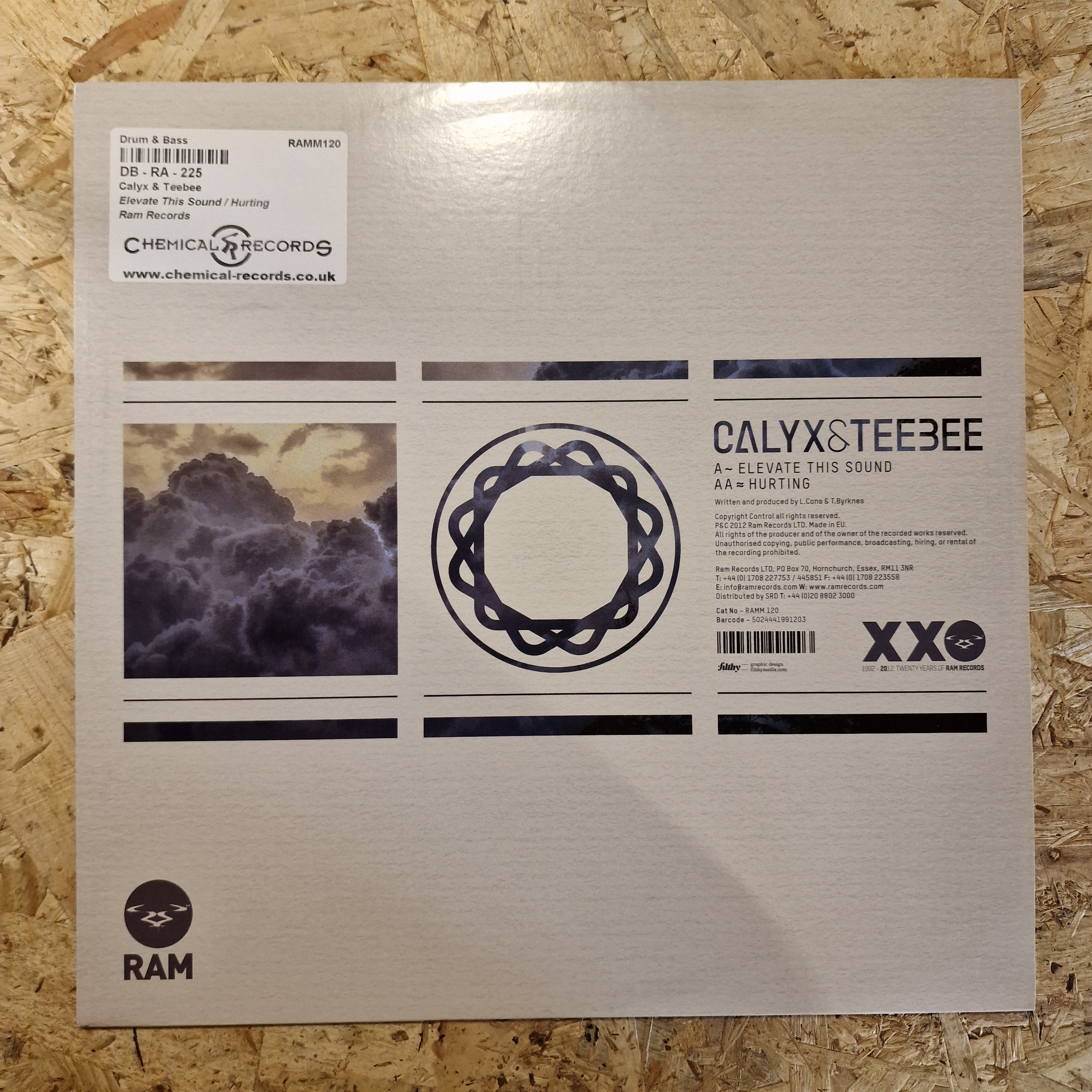 Calyx & TeeBee – Elevate This Sound / Hurting
