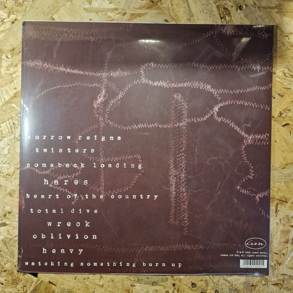 Brown Horse - Total Dive