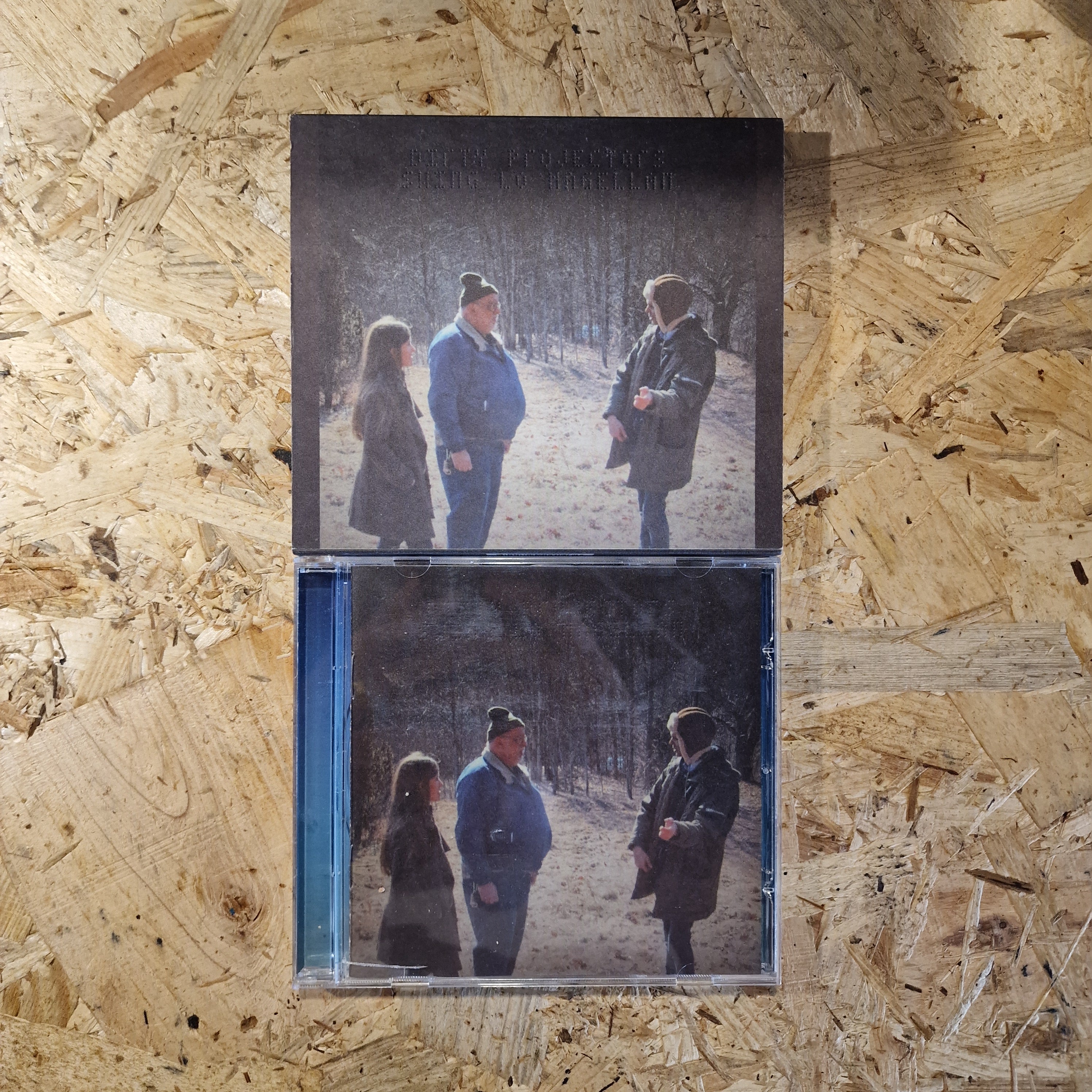 Dirty Projectors – Swing Lo Magellan
